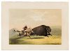 CATLIN, George (1796-1872)  Buffalo Hunt, Chase