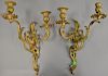 Pair of French two light brass sconces. ht. 15 1/2in., wd. 10 1/2in.   Provenance: The Estate of Thomas F Hodgman of Fairfiel