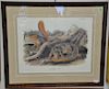 After John James Audubon, print Sciurus Sayi Aud and Bach Says Squirrel, sight size 20" x 26 1/2".  Provenance: Property from