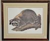After John James Audubon Procyon Lotor, Cuvier Raccoon (no glass), sight size 20" x 26 1/2".  Provenance: Property from the C