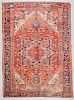 Antique Heriz Rug, Persia: 7'10'' x 11'