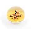 * Baccarat, , an apple blossom paperweight ed. 53/200