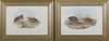 J. Gould and H.C. Ritcher, "Syndicus Diemenensis," and "Coturnix Pectoralis," 20th c., pair of colored quail prints, after th