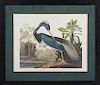 John James Audubon (1785-1851), "Louisiana Heron," No. 44, Plate 217, 20th c., presented in a wide ebonized frame, H.- 21 in.