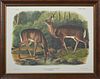 John James Audubon (1785-1851), "Common or Virginian Deer," No. 28, Plate 136, Southart-Parkway edition, 20th c., from his qu