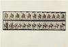 Eadweard Muybridge, (American/British, 1830-1904), Animal Locomotion Plate 573, Animal Locomotion Plate 629 and Animal Locomo