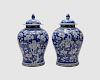 Pair of Chinese Blue and White Covered Ginger Jars