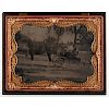 Fine Half Plate Union Case containing an Outdoor Tintype of a Horse and Carriage