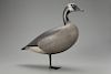 Standing Canada Goose, Charles S. Schoenheider, Sr. (1854-1924)