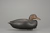 Black Duck, Nathan F. Cobb, Jr. (1825-1905)