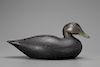 Rare Turned-Head Black Duck, Joseph W. Lincoln (1859-1938)