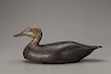 Black Duck, C. William Chrysler (1870-1940)