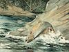 William J. Schaldach (1896-1982) Leaping Brown Trout
