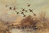 Roland Clark (1874-1957) Black Ducks at Sundown