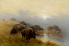 Frederick A. Verner (1836-1928), Grazing Buffalo (1905)
