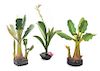 Three Painted Wood Models of Tropical Plants, Height of tallest 22 1/4 inches.