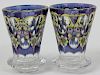 Pair of Bohemia Hand Painted Czech Glass Bud Vases