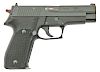 Sig Sauer P228 Semi-Auto Pistol