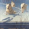 Arctic Royalty by Greg Beecham