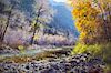 Autumn Creek by Francois Koch