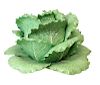 Dodie Thayer Lettuce Leaf Ware Tureen