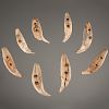 Hopewell Double Drilled Bear Teeth, From the Collection of Jan Sorgenfrei