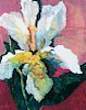 Patricia Nix, (American, b. 1938), Flower Study: Lily