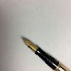 Waterman "Day and Night" 18kt Gold-filled Overlay Fountain Pen