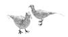 Two German Silver Pheasants, Gebruder Glaser, Hanau, Late 19th Century, each with articulated wings.