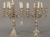 Pair of Continental silver candelabra, seven lights each. 
height 17 1/4 in.