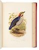 * [NATURAL HISTORY]. JONES, Thomas Rymer (1810-1880). Cassell’s Book of Birds. London: Cassell, Petter, and Galpin, [ca 1870].
