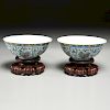 Pair Chinese Doucai porcelain flower bowls