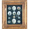 (12) ornithological and butterfly miniatures