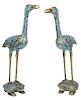 Pair of Bronze Cloisonné Cranes on Turtles