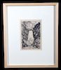 Early 1900's Yellowstone Falls Drypoint Print