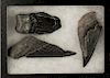3 Large Fossilized Megalodon Artifacts