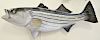 Two large fish mounts including a striped bass, lg. 48 in. and a barracuda, lg. 35 in.