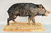 Three piece lot to include a wild boar taxidermy, full mount on rectangle platform; a male and female pheasant, and an elk rack. boar: ht. 31 in., lg.