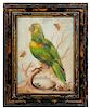 * G. Edvards, (18th century), Parrot on Branch with Butterflies