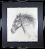 Rita Feuer, Charcoal Drawing of a Horse