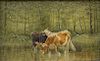 Clinton Loveridge (1838-1914), 
oil on board, 
Cows at Watering Hole, 
signed lower right: C. Loveridge, 
6" x 9 1/4"