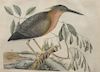 Mark Catesby (1679-1749), pair of hand colored copper plate engravings of birds, (1) Ardea Stellaris Fracinus The Small Bittern T8...