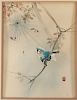 Signed, Chinese Watercolor of Bird and Spider