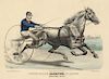 Trotting Stallion Alcryon, by Alcyone - Original Medium Folio Currier and Ives lithograph