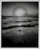 Jerry Uelsmann Beach Ladder Starfish Surreal Photo