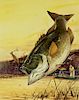 Milton C. Weiler (1910-1974) Two Leaping Bass Illustrations