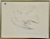 Pablo Picasso (1881-1973), lithograph, Flying Dove 1950, signed lower left: Picasso. image size 11" x 14 1/2"