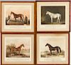 Seven Framed Equestrian Prints
