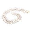 11.5-13.5mm South Sea Pearl Necklace