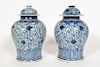 Pair, Chinese Blue & White Lidded Temple Jars
